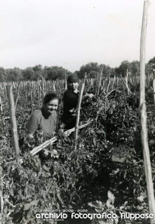 1966 in campagna